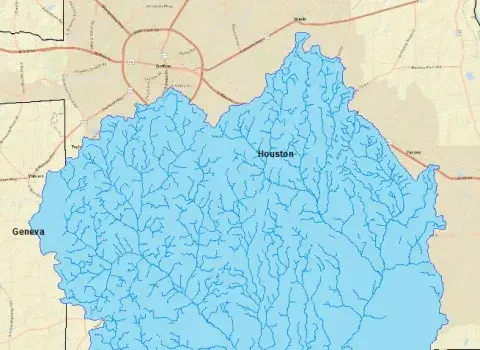 Basin