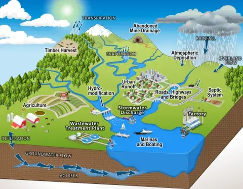 Watershed Pollutants Diagram